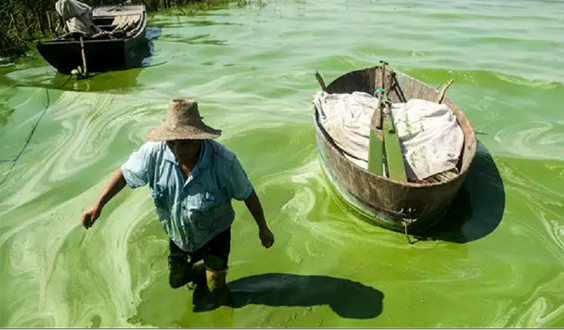 傳統(tǒng)養(yǎng)殖方式與未來高效養(yǎng)殖方式的區(qū)別