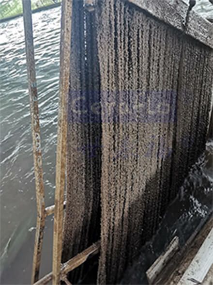 化妝品廠廢水處理方法是怎么樣的?