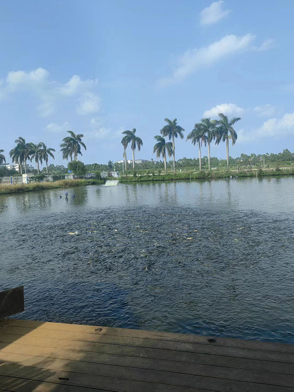 mbr簾式膜應用范圍