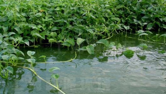 廢水處理方法有哪些?三種常見的辦法!