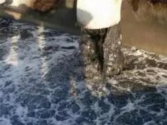 MBR板膜進水水質要求會影響使用壽命嗎?